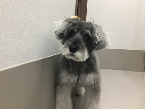 51D63626-0500-4F4E-A638-F7019F1FC99A