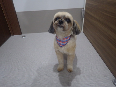 RIMG1973 - コピー