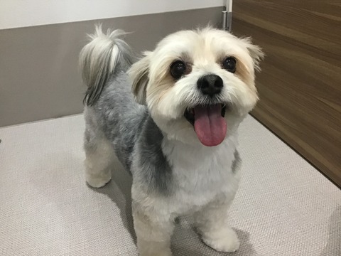 4F04F4BF-191A-45A8-91BB-2D82FF4D433F