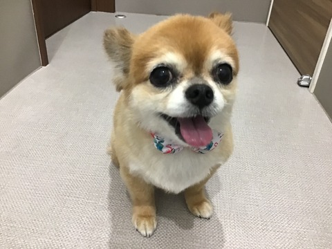 F7C08D33-D730-46F8-9BB0-B73A352625AE