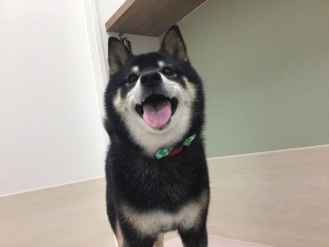 B7C389FD-4601-4EF6-A46F-E96562C06518