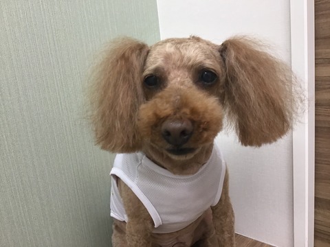 C0E9DC09-36B3-4197-ABB9-9030B9977815