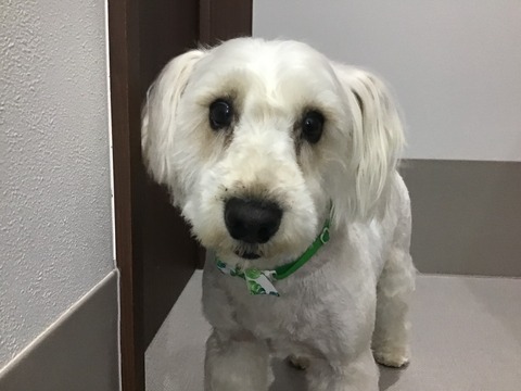 95AAFFEF-83FB-4753-A6BA-D5751072B379