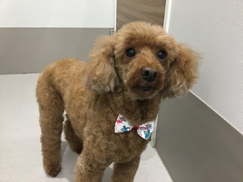 EE1C3360-A015-4C46-ABBB-3E8FFCBA66BE