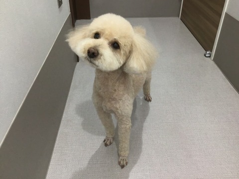 IMG_3322