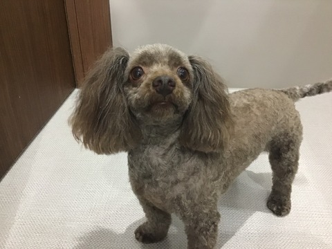 58FF4136-8577-4DAE-BB83-74724CDCF30E