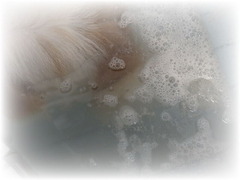 F2wTsnrEeIW2EZN1566173579_1566173592