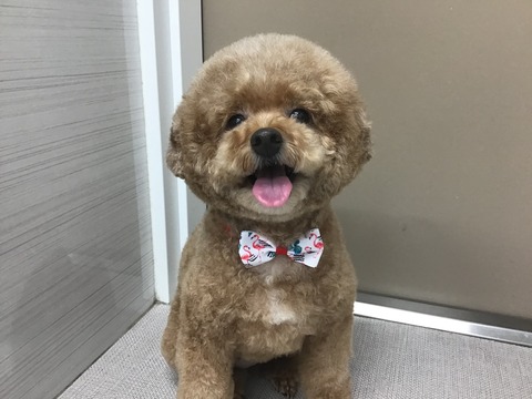 2A3EDEF5-4BD2-41FC-B9B2-D7B6017574B3