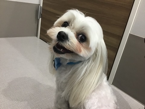 3CA71844-4E3A-4E40-B0D6-48004A3C3056