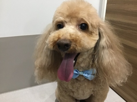 AB8E56B7-CC4F-44C3-92A1-D2A1BBB35509