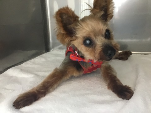 03AA4C72-DE34-4713-BD8B-88F814AA0DAD