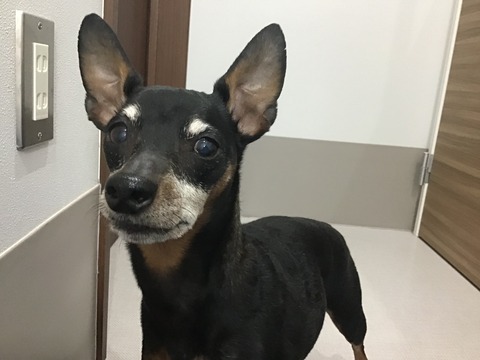 2B07DEDC-9EA5-4DB5-B085-D41325C063F7