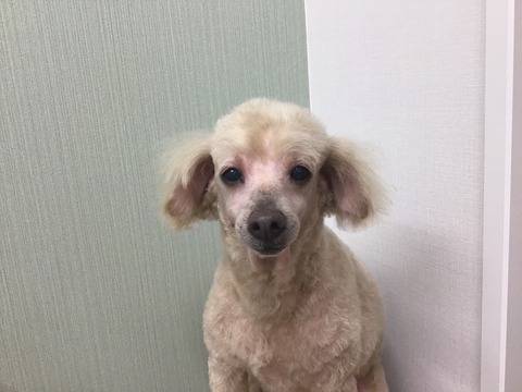 F6C1D563-4065-4094-B1C2-668E7A5FD969