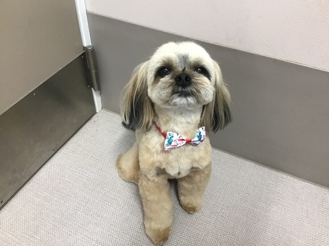 B9A741AD-56BE-430F-83B4-DE5B40218552