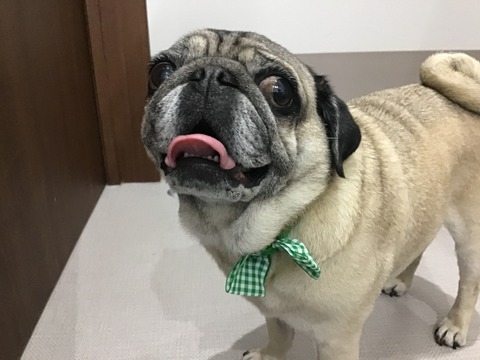 C9C943E0-F236-4286-A777-5F278E1E222A