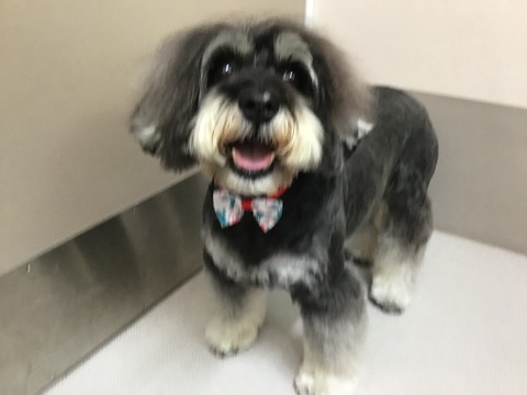 8B3455BD-295A-423F-9102-8AA8BCB8A3D1