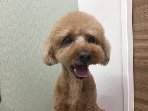 E2C23B28-3AA6-47A7-AAE0-59BA504E1039