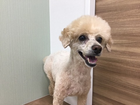 DC429130-757E-4849-9D74-4FD688A0EE2F