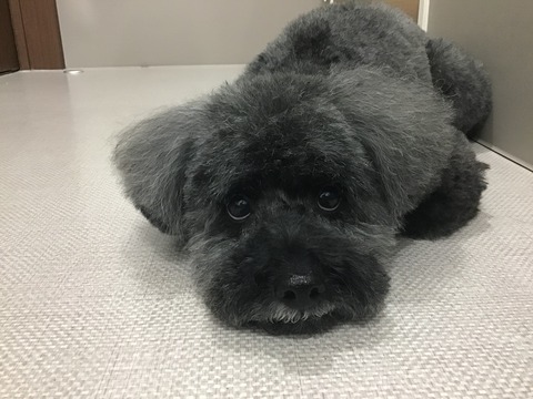 76D6621A-5C47-4CEB-BB8D-BD4BF1BF4AC9