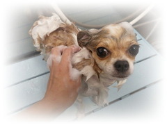 jMfls3EywGiOZ9d1566173891_1566173899