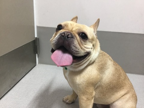 31795ADA-C692-407A-8293-8A0E4626A765