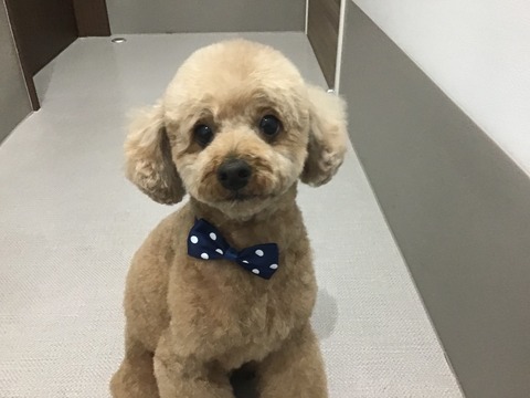 B885EB2C-383A-41E8-A187-D00B44A0B17D