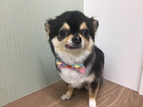 42540183-54ED-4B04-AD82-2D79B03330B2