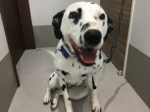 288F4B09-8C1F-4A52-A6B4-7861990202BB