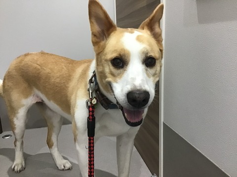 2EADA5E7-4C68-46D2-A66C-979359C8D58F