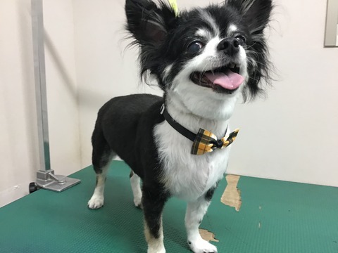 0E358249-A870-4648-BEAA-8F6EBC48DCE1