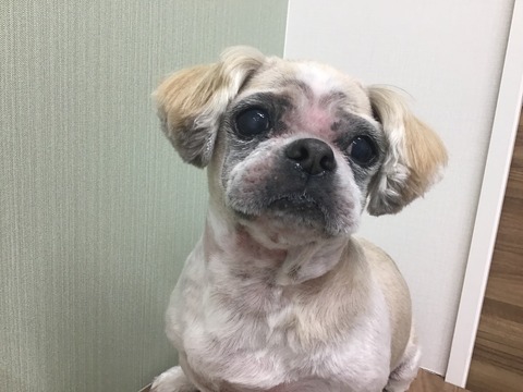 34AC112D-AC3D-439F-A8EB-C4F6E0B8BE18