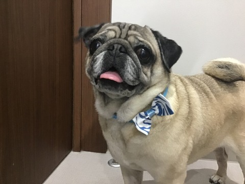 61005D94-C228-4A61-8E56-633D34F9CF66