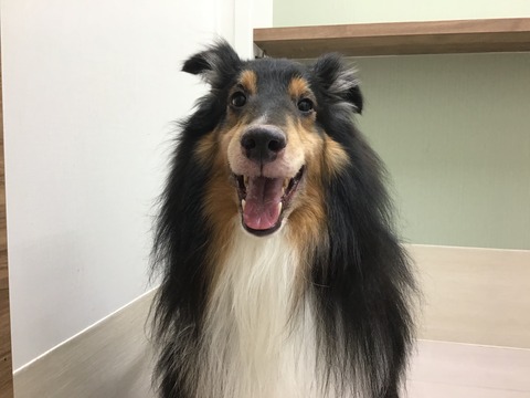 9E5D48B3-98A0-440F-95E1-DC76986CEEC0