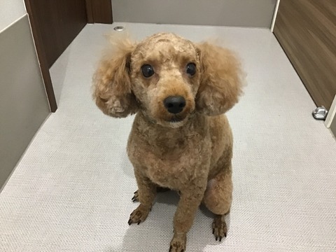 9480DDE2-29AD-44C6-8C2F-3F7E77277E06