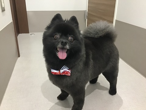 F4FDA972-7790-429B-90BA-ECF0247DCC8F