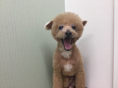 72253D5D-A6BF-4B65-87E5-D8999E4CDCD9