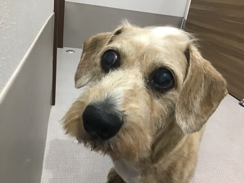 4C0C2C20-4473-4908-8885-0ED2ADCF49B3