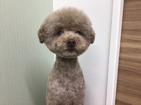 341B96F0-AF6B-4927-A421-964720E4EA10