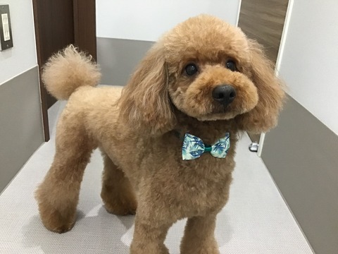 24D1604D-F529-4B0A-B2A3-E54027A6BC59