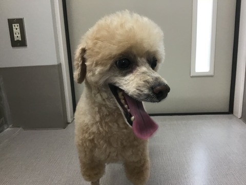 71405F4E-37B2-4A1D-9F58-B02990698B09