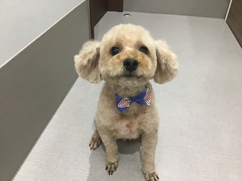 DB18EFBC-EE10-47DE-BBEA-5FDAA7C3594A