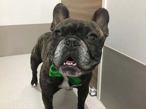 F658CDC9-B79F-48FB-8A76-3526D212B763