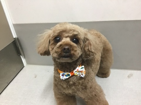 654D9AE0-FE92-4FC0-971F-3085733CC00A