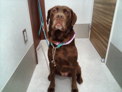 IMG_20210128_120356_DRO