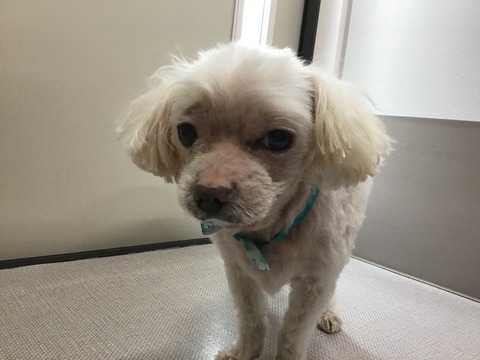 8B1BD8D7-B28A-4E6A-969A-A0A5324A1F42