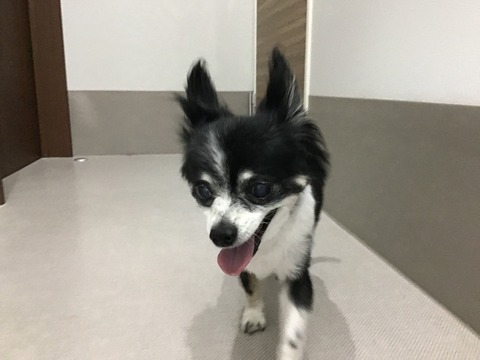 47C41729-2BDB-4ABB-A375-1AFF3AD96F36