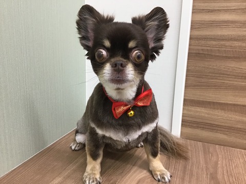 07B328D5-1EAD-4610-94C5-0430430DD449