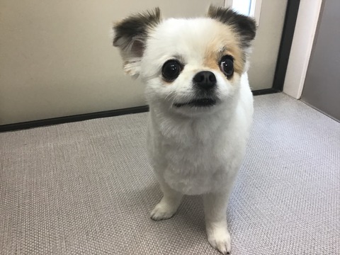 7CB02E50-149A-448E-93BB-EA28C4C6C106