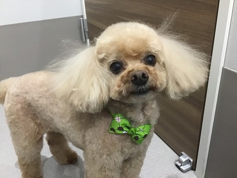 3A224689-8FDD-46BD-B3E3-96198039A7FC