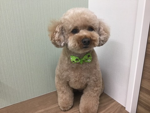 BFD16240-E8B8-43A1-8FE5-1070E3578C7B